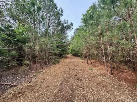 00 W Sprague Junction Rd, Ramer, AL 36043 photo 13