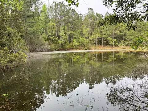 00 W Sprague Junction Rd, Ramer, AL 36043 photo 11