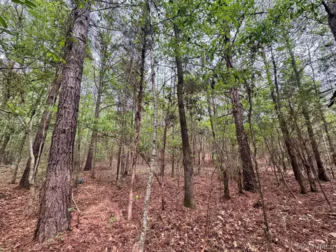 00 W Sprague Junction Rd, Ramer, AL 36043 photo 14