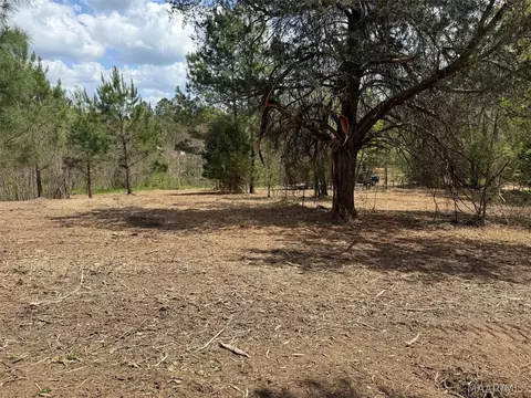 00 W Sprague Junction Rd, Ramer, AL 36043 photo 2