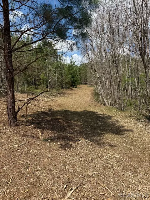 00 W Sprague Junction Rd, Ramer, AL 36043 photo 4