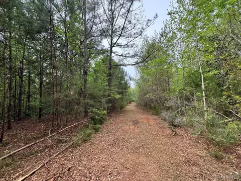 00 W Sprague Junction Rd, Ramer, AL 36043 photo 9