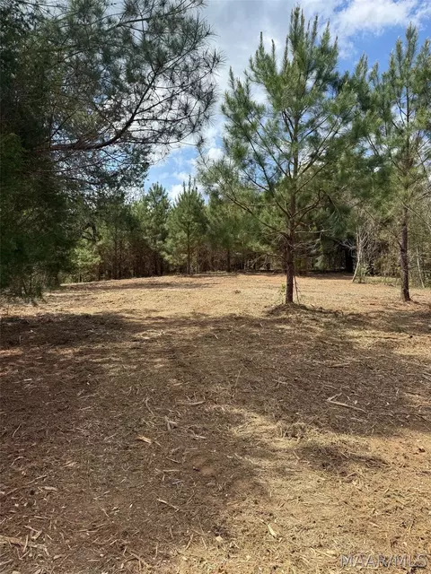 00 W Sprague Junction Rd, Ramer, AL 36043 photo 5