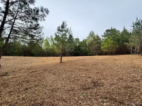 00 W Sprague Junction Rd, Ramer, AL 36043