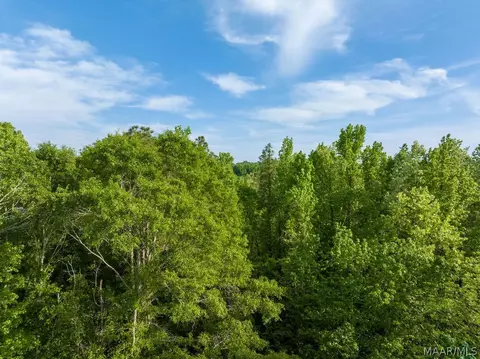 00 Hobbie Rd, Ramer, AL 36106 photo 32