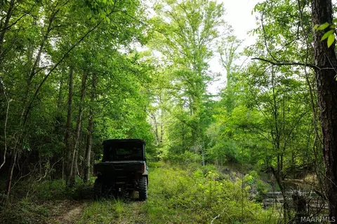00 Hobbie Rd, Ramer, AL 36106 photo 7