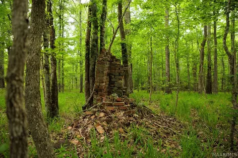00 Hobbie Rd, Ramer, AL 36106 photo 36
