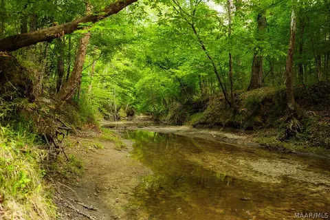 00 Hobbie Rd, Ramer, AL 36106 photo 12