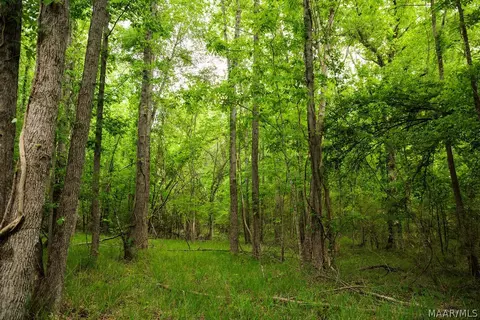 00 Hobbie Rd, Ramer, AL 36106 photo 38
