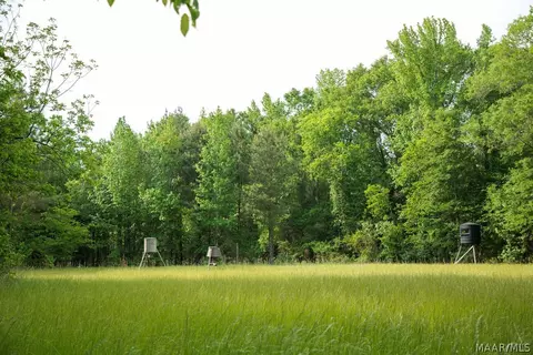 00 Hobbie Rd, Ramer, AL 36106 photo 31