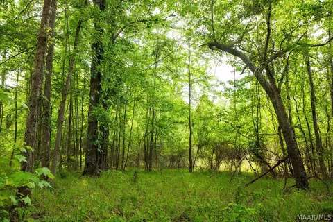 00 Hobbie Rd, Ramer, AL 36106 photo 44