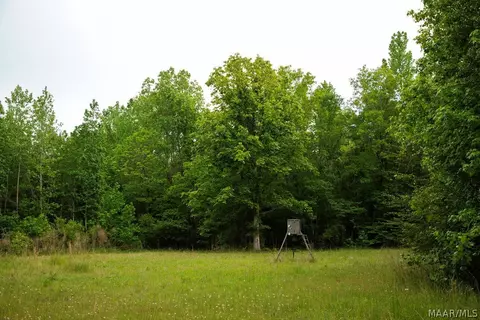 00 Hobbie Rd, Ramer, AL 36106 photo 34