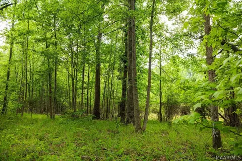 00 Hobbie Rd, Ramer, AL 36106 photo 54