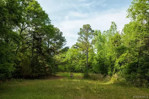 00 Hobbie Rd, Ramer, AL 36106 photo 46