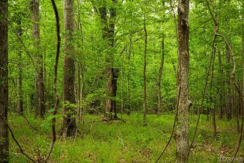 00 Hobbie Rd, Ramer, AL 36106 photo 52