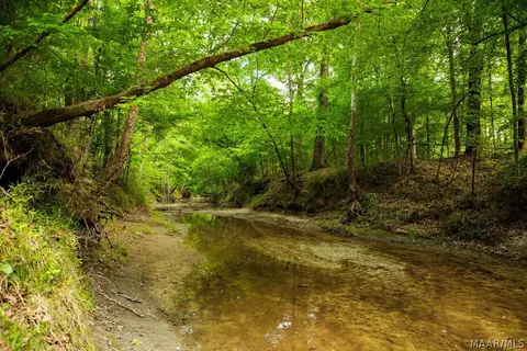 00 Hobbie Rd, Ramer, AL 36106 photo 11