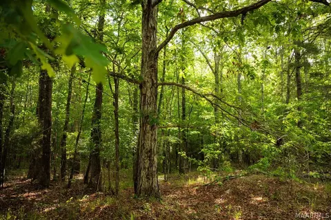 00 Hobbie Rd, Ramer, AL 36106 photo 51