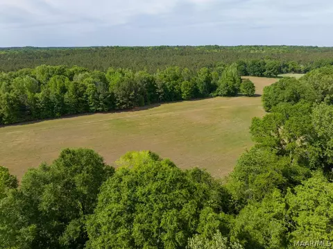 00 Hobbie Rd, Ramer, AL 36106 photo 17