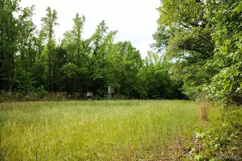 00 Hobbie Rd, Ramer, AL 36106 photo 47