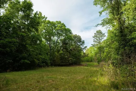 00 Hobbie Rd, Ramer, AL 36106 photo 30
