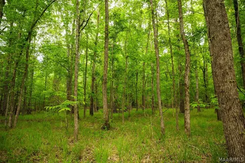 00 Hobbie Rd, Ramer, AL 36106 photo 25