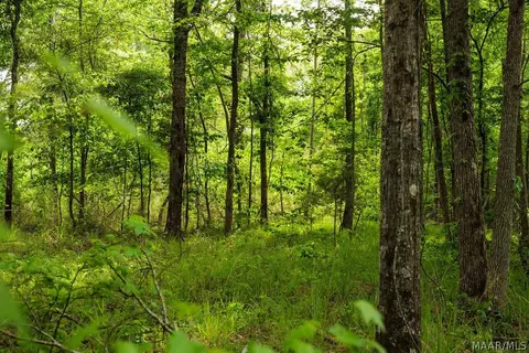 00 Hobbie Rd, Ramer, AL 36106 photo 2