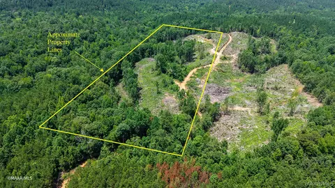 0 Golden Rd, Thomasville, AL 36784