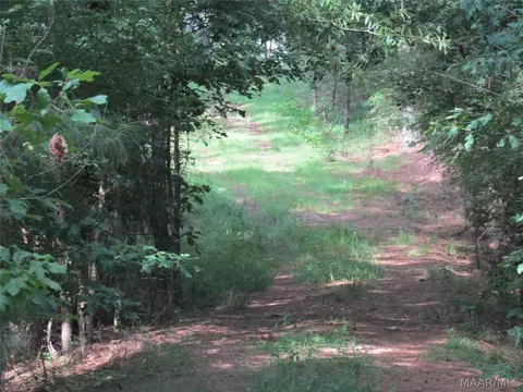 1715 Sprague Junction Rd, Ramer, AL 36069 photo 4