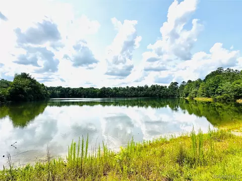 1091 Friendly Pine Rd, Elmore, AL 36025