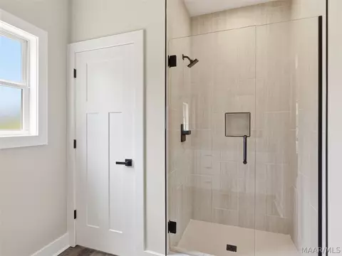 Bath - 210 Madix Dr, Eclectic, AL 36024 photo 2 of 3