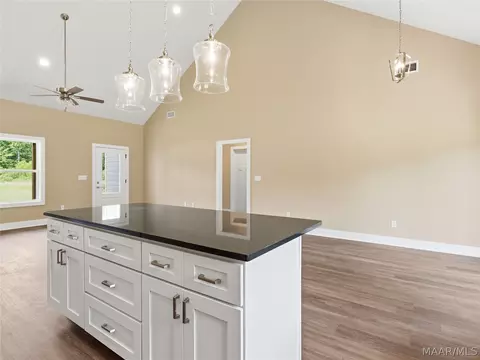 314 Madix Dr, Eclectic, AL 36024 photo 10