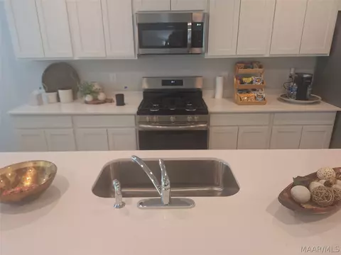 60 Overcup Dr, Eclectic, AL 36024 photo 5