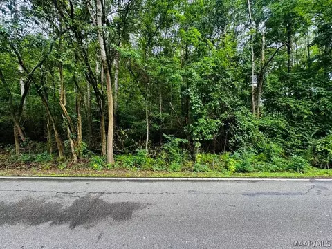 321 Central Ave, Eclectic, AL 36026 photo 5
