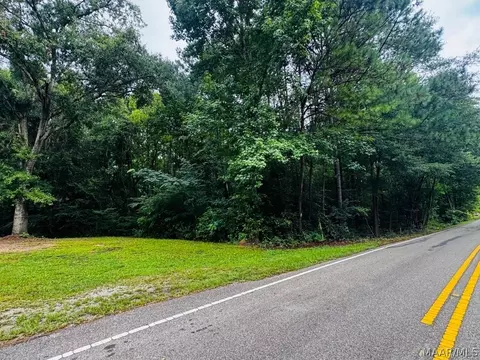 321 Central Ave, Eclectic, AL 36026 photo 4