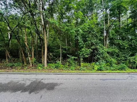 343 Central Ave, Eclectic, AL 36024 photo 6