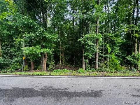 343 Central Ave, Eclectic, AL 36024 photo 4