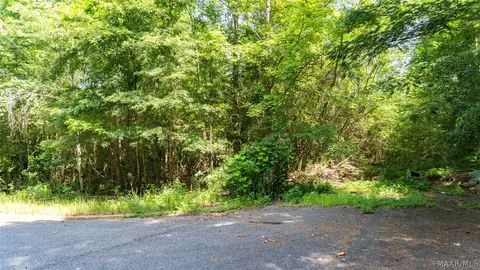 0 Ruby Dr, Cottondale, AL 35453 photo 14