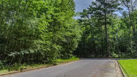 0 Ruby Dr, Cottondale, AL 35453 photo 3