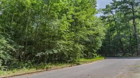 0 Ruby Dr, Cottondale, AL 35453 photo 9