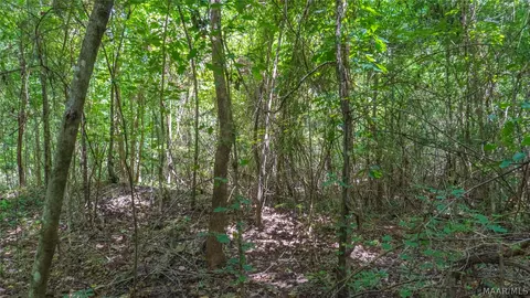 0 Ruby Dr, Cottondale, AL 35453 photo 6