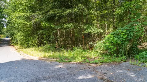 0 Ruby Dr, Cottondale, AL 35453 photo 11