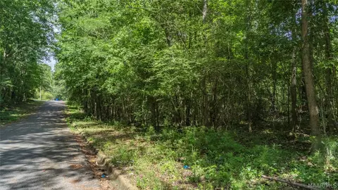 0 Ruby Dr, Cottondale, AL 35453 photo 18