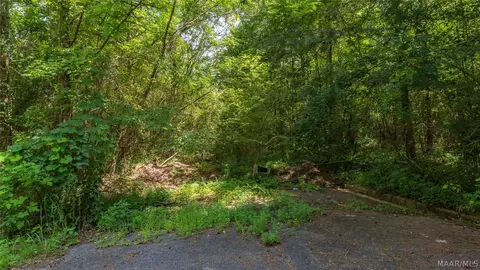0 Ruby Dr, Cottondale, AL 35453 photo 10