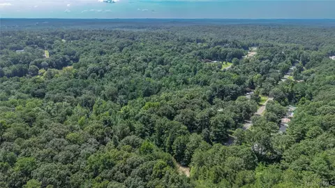 0 Ruby Dr, Cottondale, AL 35453 photo 12