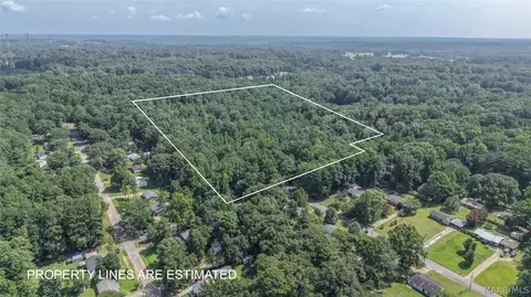 0 Ruby Dr, Cottondale, AL 35453 photo 17