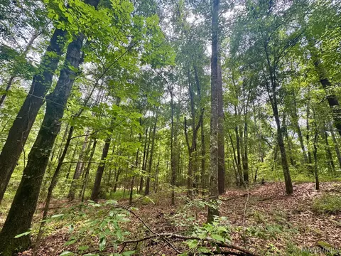 45 Highway 29 Hwy, Union Springs, AL 36089