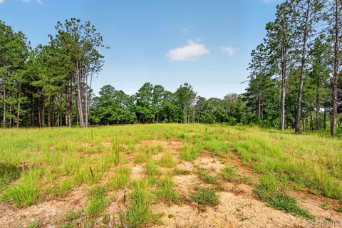 Other - 1020 Chesson Hill Dr, Fitzpatrick, AL 36029 photo 12 of 12