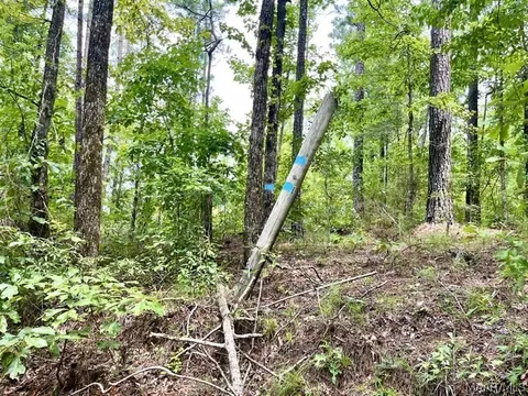 Other - 2019 Highway 231, Equality, AL 36026 photo 19 of 25