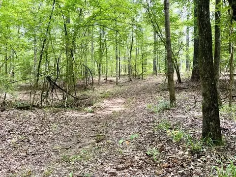 Exterior - 2019 Highway 231, Equality, AL 36026 photo 18 of 20