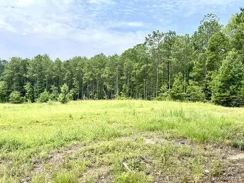 Other - 2019 Highway 231, Equality, AL 36026 photo 14 of 25